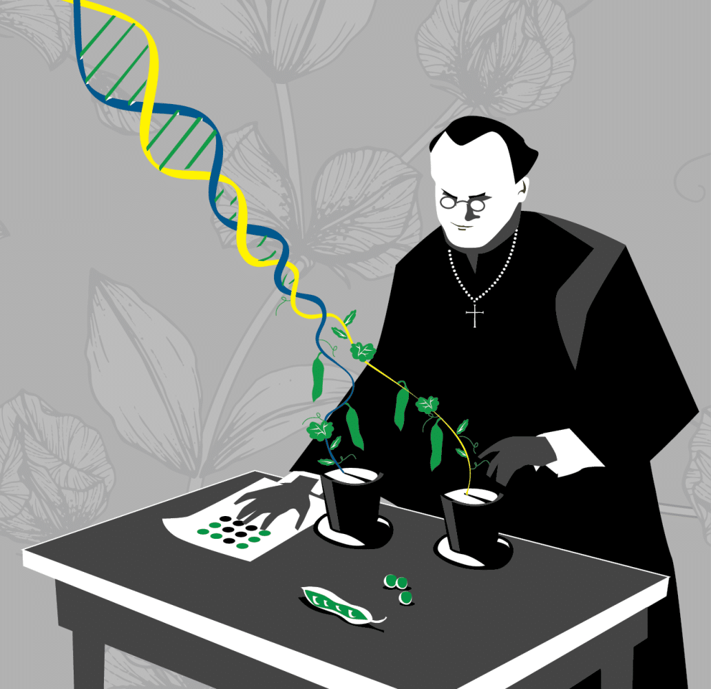 Gregor Mendel at his Bicentennial: Highlights of his Life and Legacy