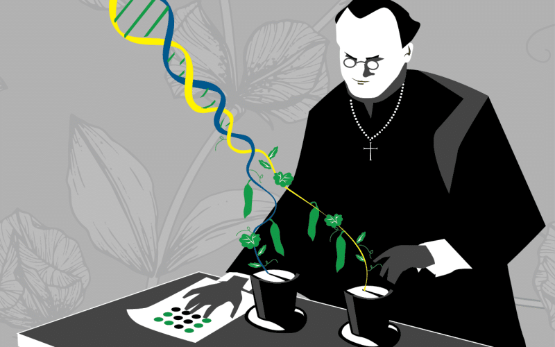 Gregor Mendel at his Bicentennial: Highlights of his Life and Legacy