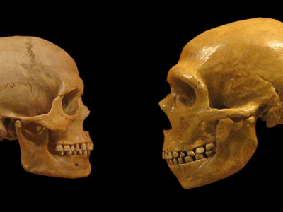 What Evolution Does and Does Not Tell Us about Humans