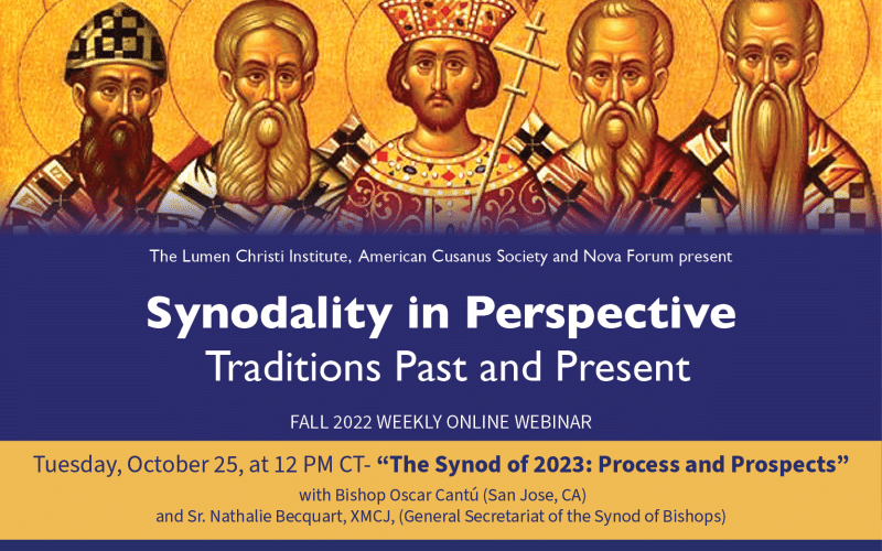 Synodality Series Session 6 | The Synod of 2023: Process and Prospects