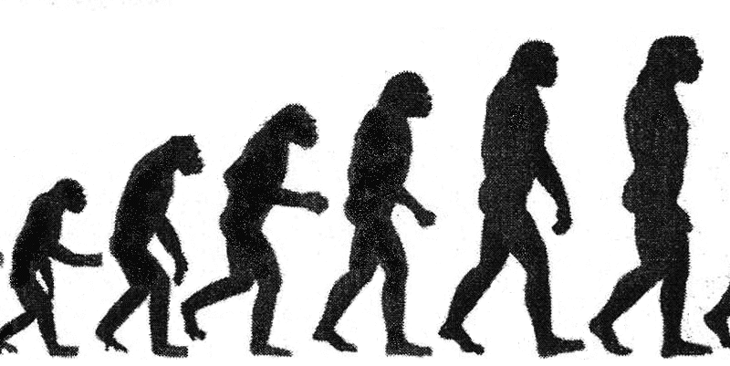 Theology and Evolutionary Naturalism: How Much Can Biology Explain?