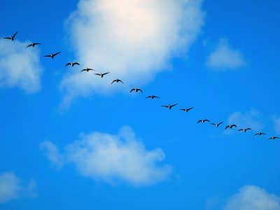 God is Complicated – Science is Complex