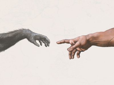 WEBINAR: Becoming Human: Evolution, Science, and the Soul