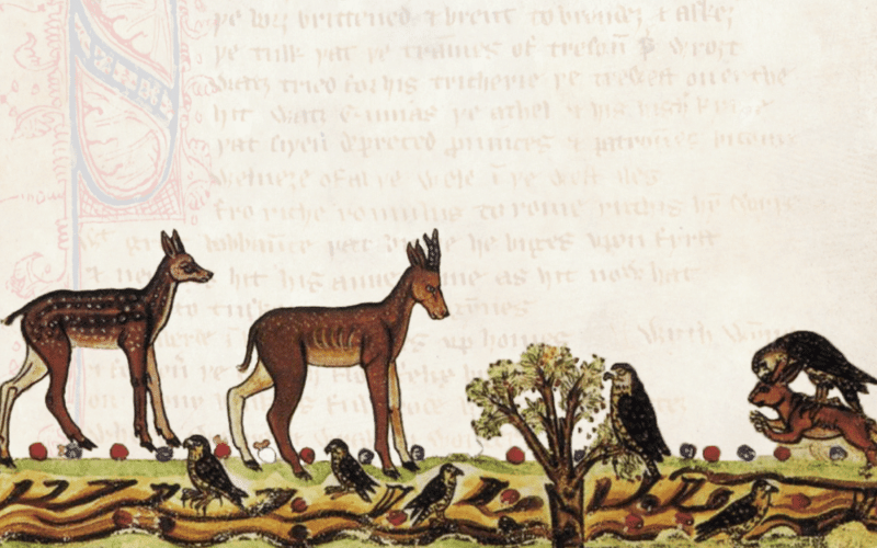 Mythmaking and the True Myth - A Conversation with Martin Shaw