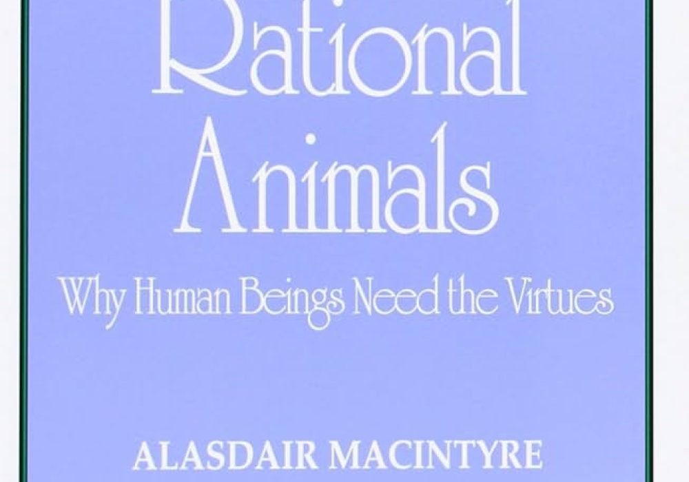 71z-L09Tf8L._UF1000,1000_QL80_