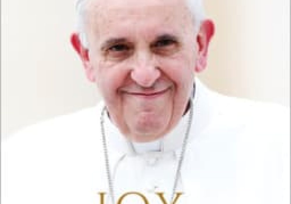 A Guide to the Thought of Pope Francis