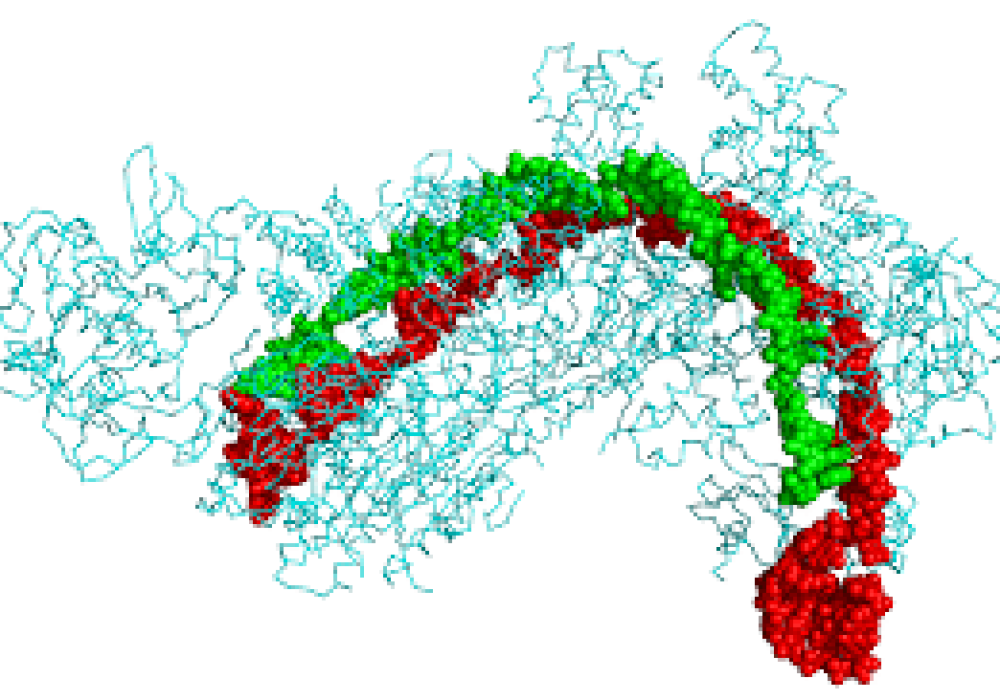 Genome Editing with CRISPR: Dignity and Other Faith-Based Considerations