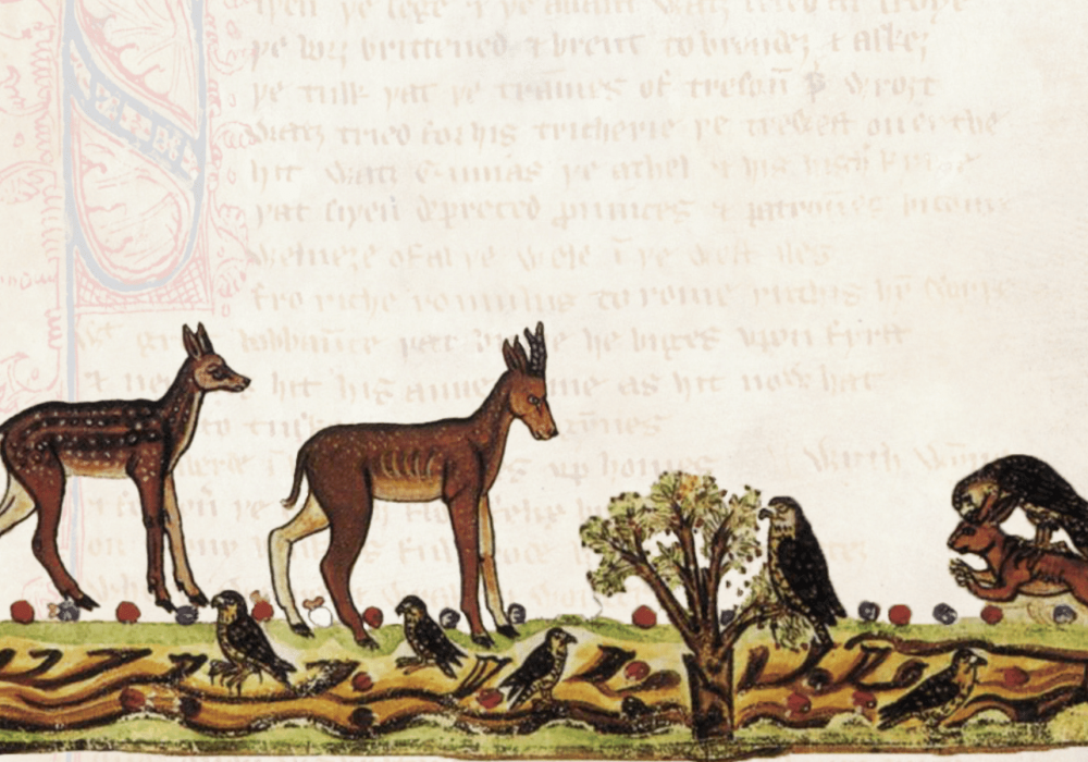 Copy of Magis Winter 2026 Postcard (2)