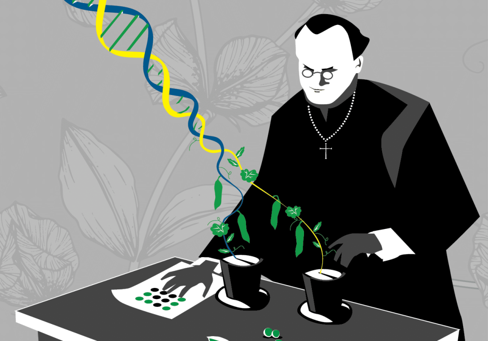 Gregor Mendel at his Bicentennial: Highlights of his Life and Legacy