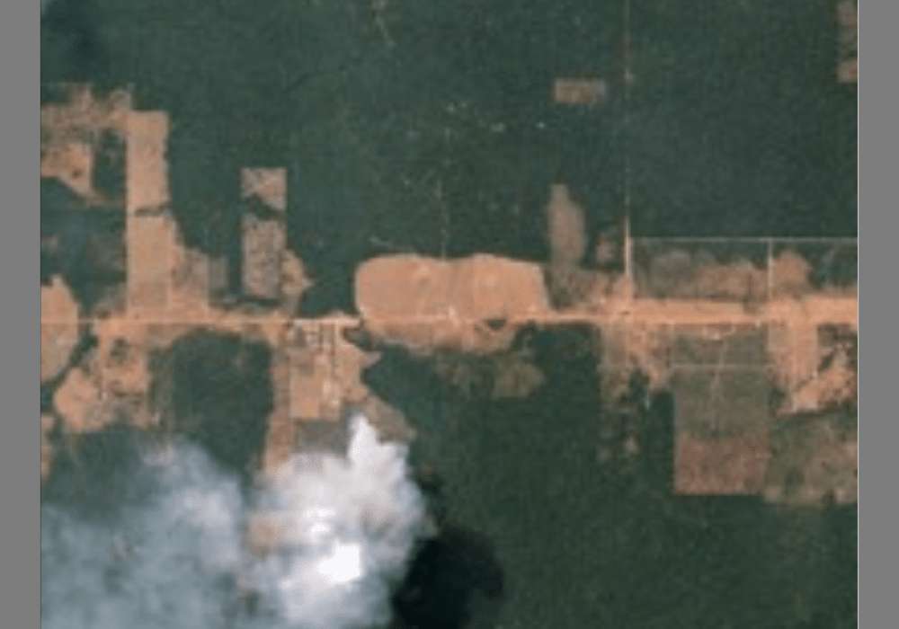 bioethics in the anthropocene