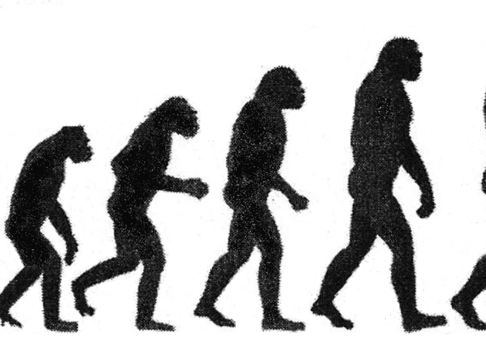 Theology and Evolutionary Naturalism: How Much Can Biology Explain?